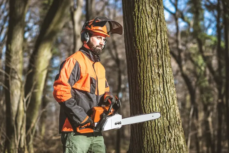 Holz-Leseschein-Selbstwerber