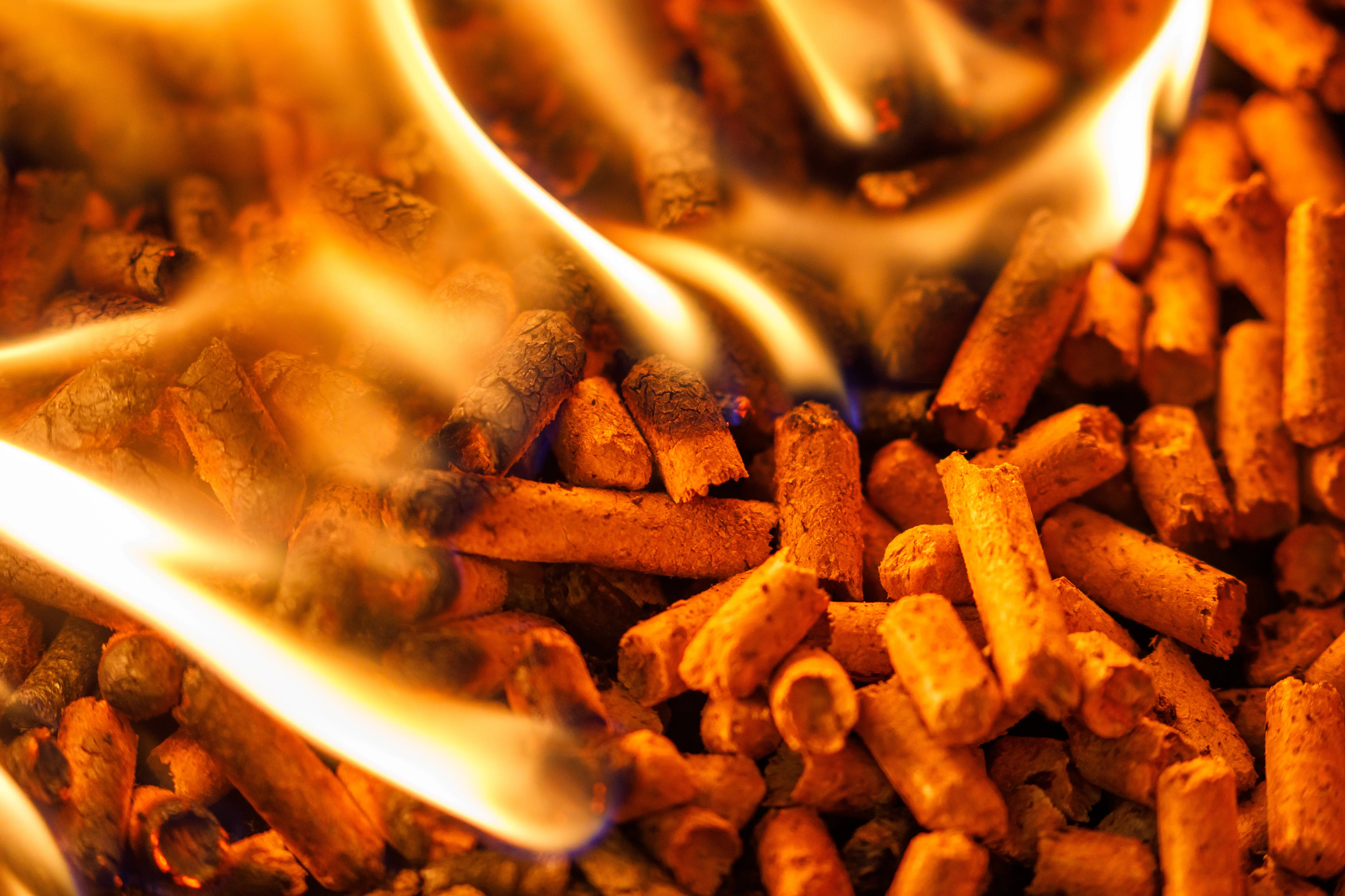 Lose Pellet Lieferung Pelletlager ENplus Pellets lose online bestellen